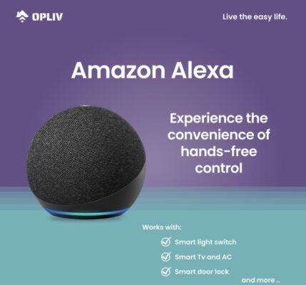 Alexa echo dot